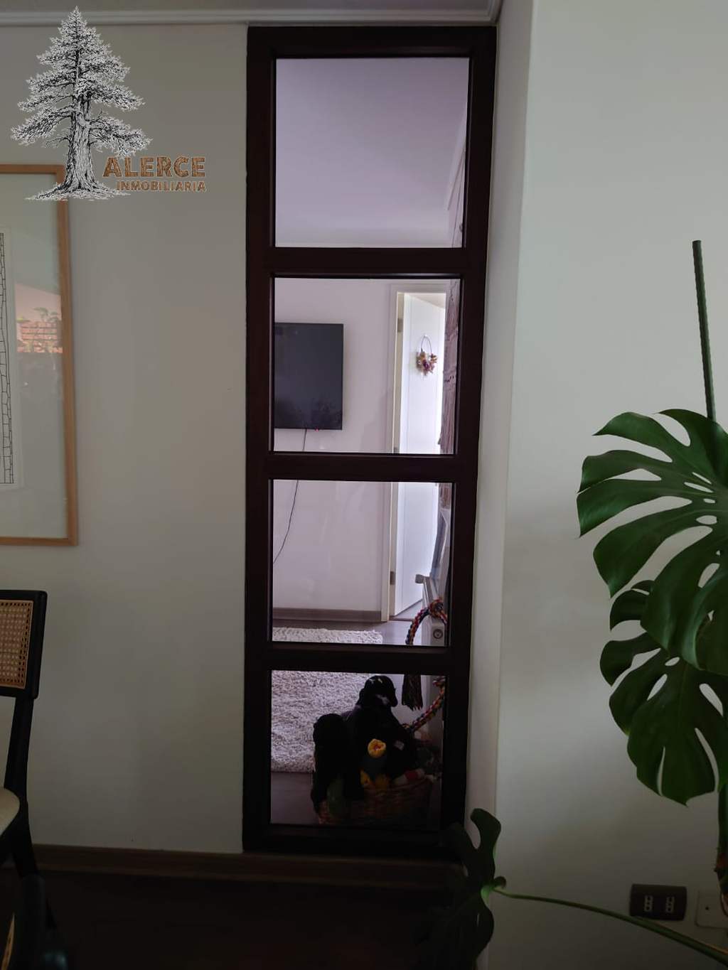 Departamento en venta con Patio privado | Barrio La Hacienda, Macul — imagen 26 en Peñalolén | Alerce Inmobiliaria